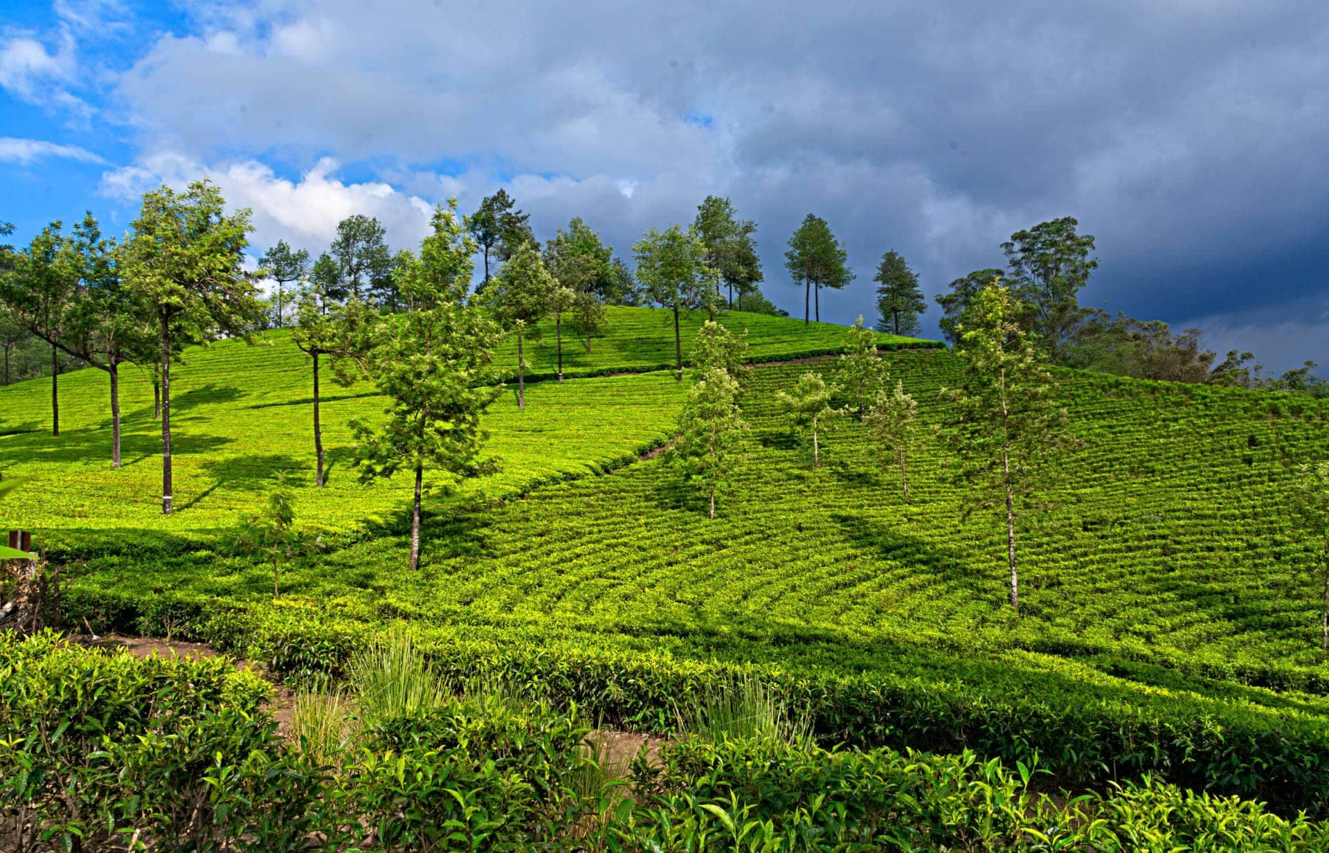 Landscape Photography Collection