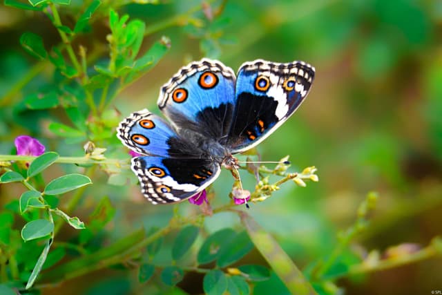 Creative photography