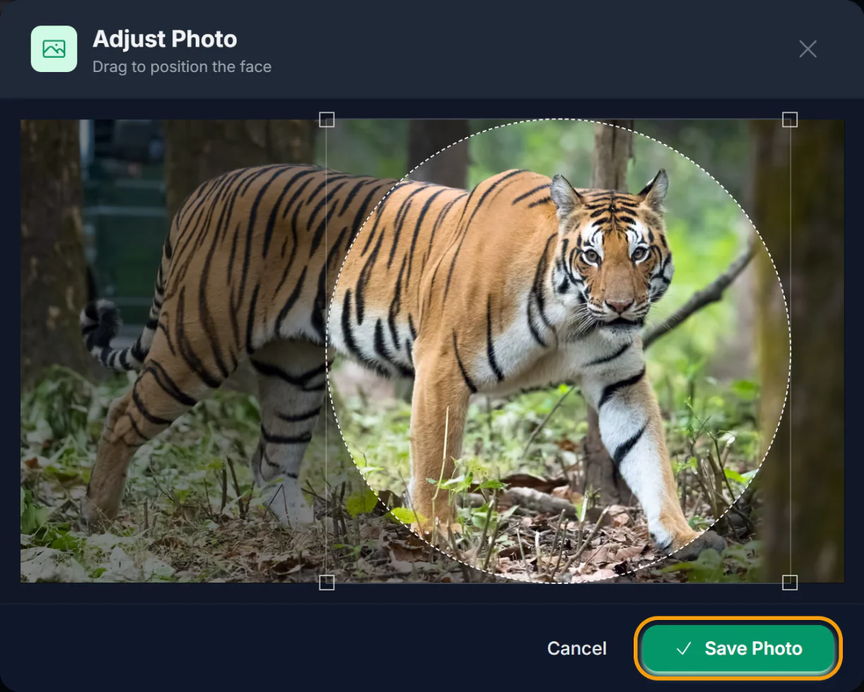 The Adjust Photo window with a round crop area over a photo of a tiger, and the Save Photo button highlighted