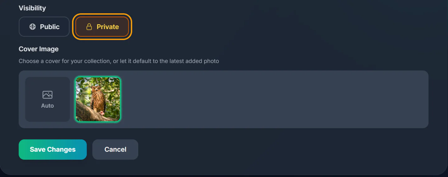 The lower half of the Edit Collection form with Private visibility highlighted and a cover photo selected