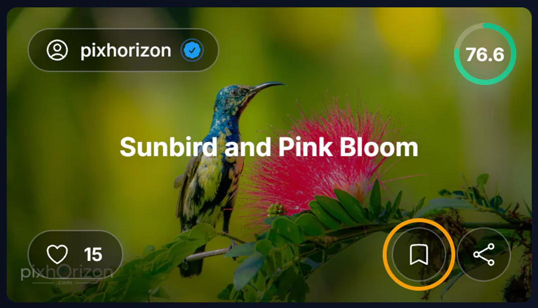 A photo card in a gallery with the bookmark save button highlighted in its bottom-right corner