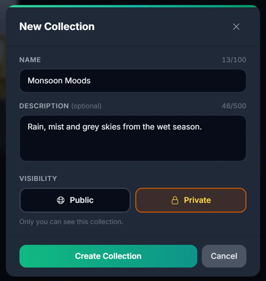 The New Collection window with a name, an optional description, and Private visibility selected