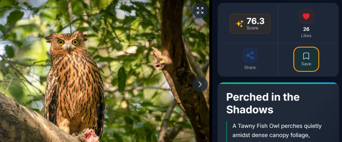 A photo page with the Save button highlighted in the panel next to the photo