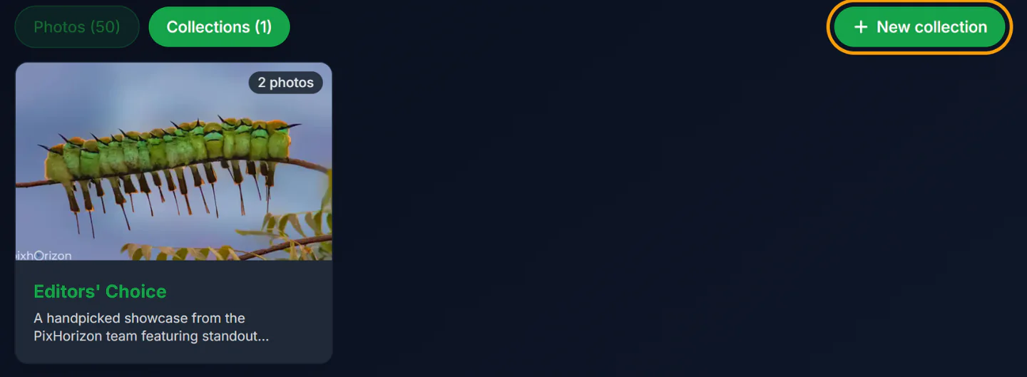 The Collections tab on a profile with the New collection button highlighted