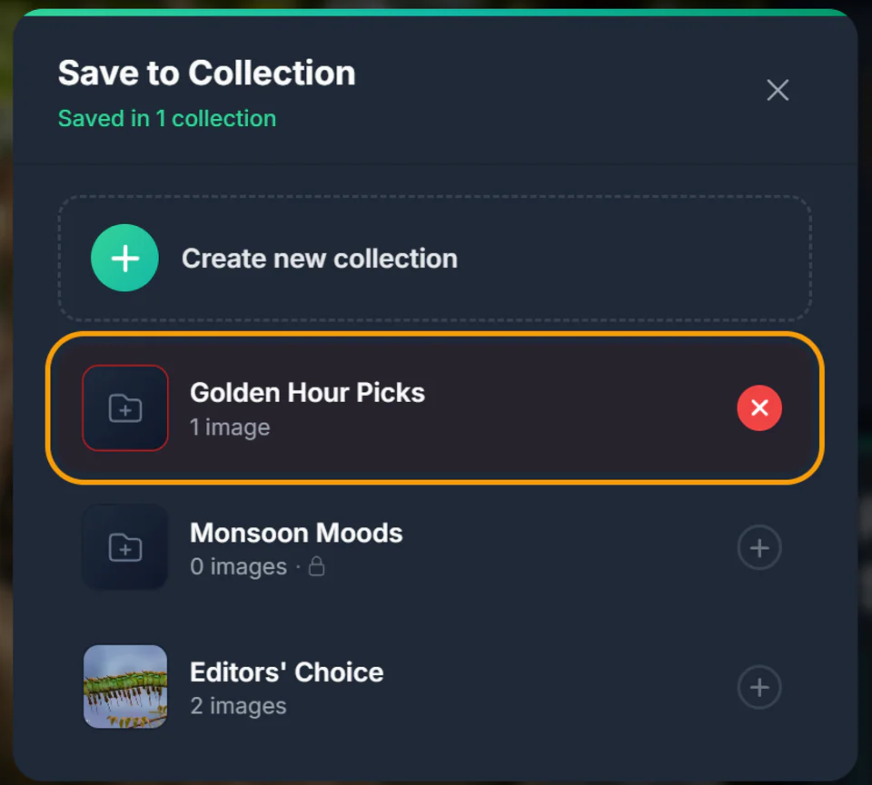 A ticked collection in the Save to Collection window showing a red remove icon on hover