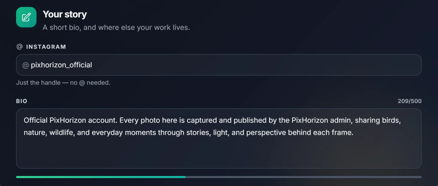 The Your story section with the Instagram handle field and the Bio box with its character counter